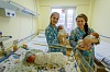 Родильное отделение